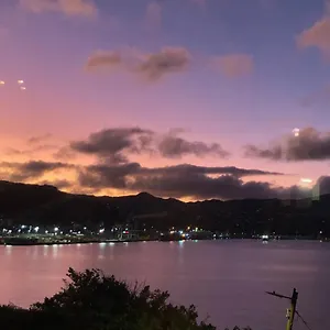 https://romantic-luxurious-studio-apt-with-harbour-views.wellingtonnzhotels.com
